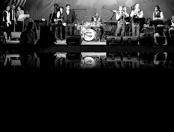 Detroit Cover Band Brisbane - Musicians Entertainers Live Band