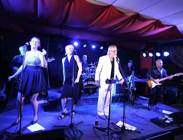 Joe Cocker Tribute Show Tribute Show Brisbane - Cover Bands - Musicians